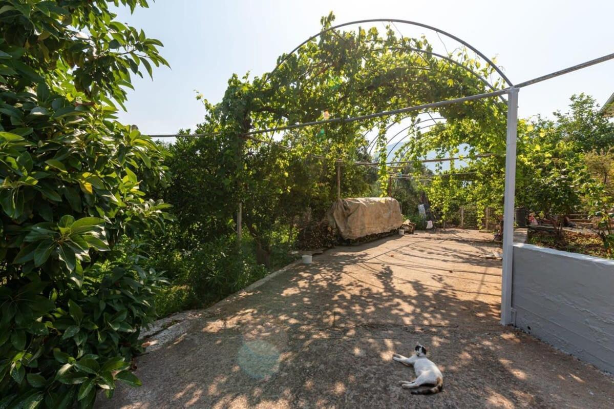 Serene Seaside Bliss - Lush & Secluded Garden Oasis Kalamata Luaran gambar